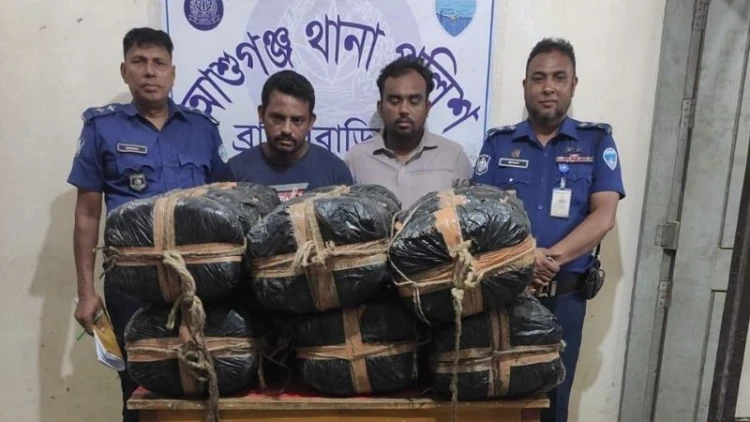 আশুগঞ্জে গাঁজাসহ ২ মাদক কারবারি গ্রেফতার