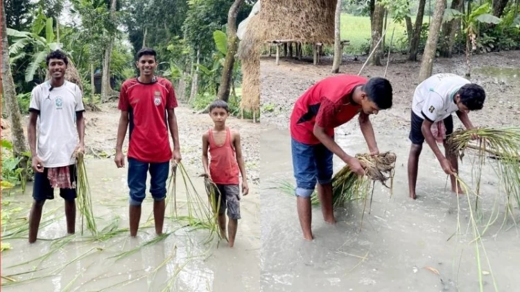 গৌরনদীতে বেহাল সড়কে চারা রোপণ করে প্রতিবাদ