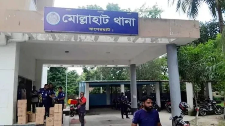 মোল্লাহাটে পানিতে ডুবে দুই বোনের মৃত্যু