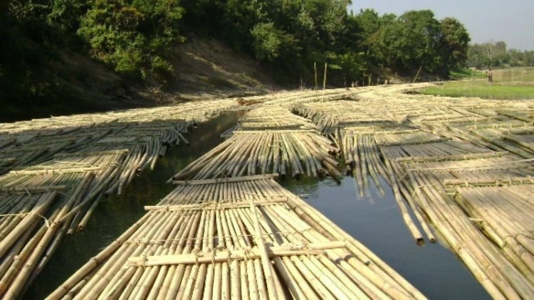 নিষিদ্ধ সময়ে কর্তন , ৯ হাজার বাঁশ জব্দ