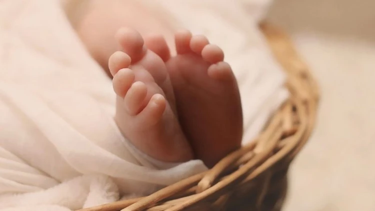 ধুনটে জঙ্গল থেকে জীবিত নবজাতক উদ্ধার