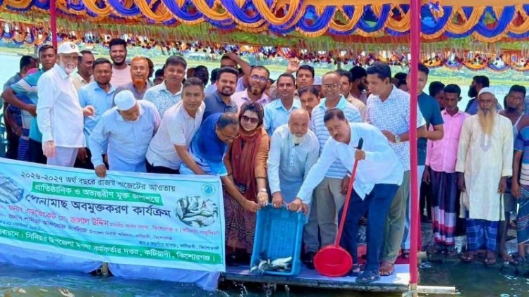 কটিয়াদীতে দেশীয় মাছের উৎপাদন বৃদ্ধি করতে পোনা অবমুক্ত