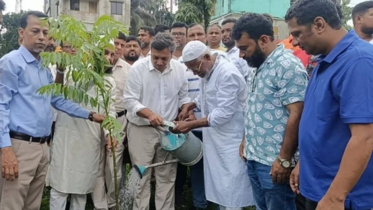 গাজীপুর জেলা পরিষদ প্রশাসকের নেতৃত্বে চারা বিতরণ কর্মসূচি অনুষ্ঠিত