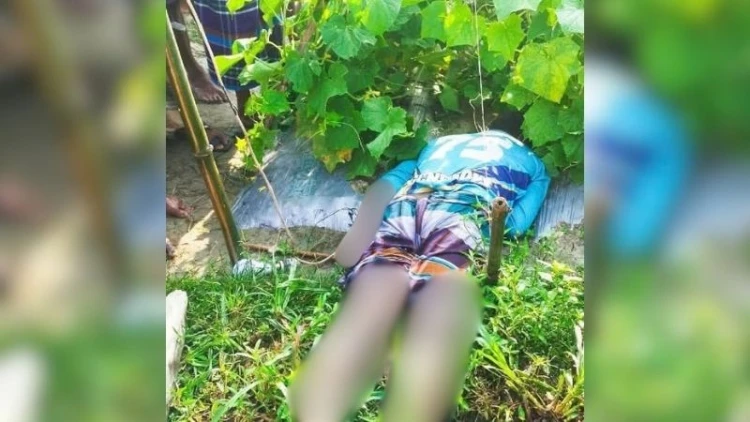 শসা ক্ষেতে বৈদ্যুতিক ফাঁদে জড়িয়ে যুবকের মৃত্যু