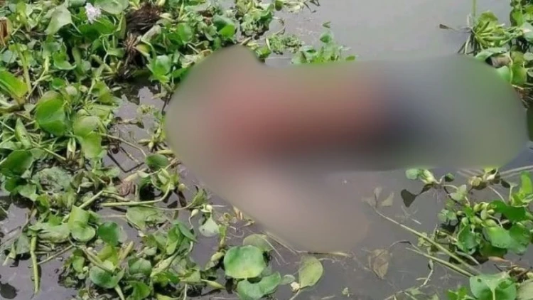 ব্রাহ্মণবাড়িয়ায় ডোবা থেকে মাদ্রাসা সুপারের লাশ উদ্ধার
