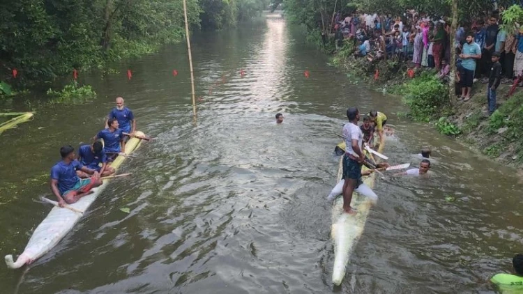 কুষ্টিয়ায় ব্যতিক্রমী কলাগাছের ভেলা বাইচ অনুষ্ঠিত