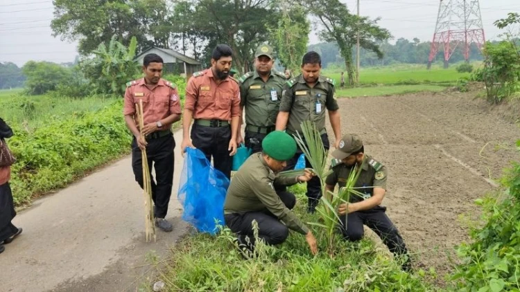 ফেনীতে আনসার-ভিডিপির উদ্যোগে ৪ শতাধিক বৃক্ষরোপণ