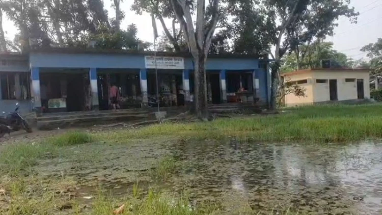 রাজবাড়ীতে মশা, জোঁক ও সাপের আতঙ্কে ২৪৬ শিক্ষার্থী
