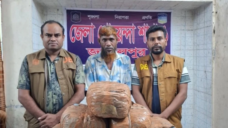 জামালপুরে গাঁজাসহ মাদক কারবারি গ্রেপ্তার