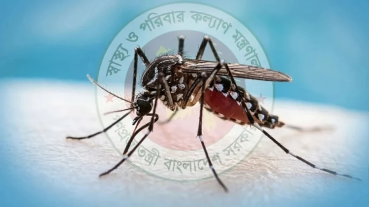 দেশে ২৪ ঘণ্টায় ডেঙ্গুতে আরও ৭ জনের মৃত্যু, হাসপাতালে ভর্তি ১৮৭২