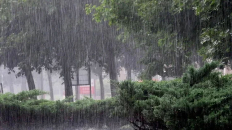 বৃষ্টি কবে হতে পারে, জানাল আবহাওয়া অধিদপ্তর