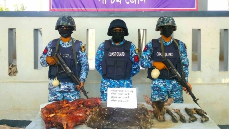 সুন্দরবনে হরিণের মাংস ও চামড়া জব্দ
