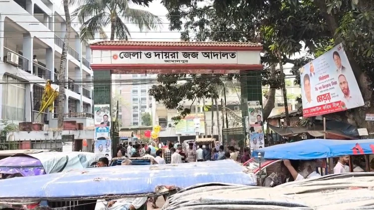 জামালপুরে যৌতুকের জন্য স্ত্রীকে শ্বাসরোধে হত্যা: স্বামীর মৃত্যুদণ্ড