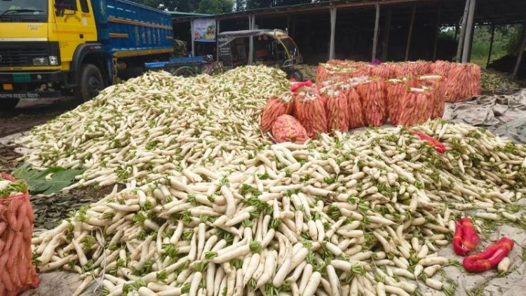 মহাস্থান বাজারে শীতের সবজি, হতাশ কৃষক