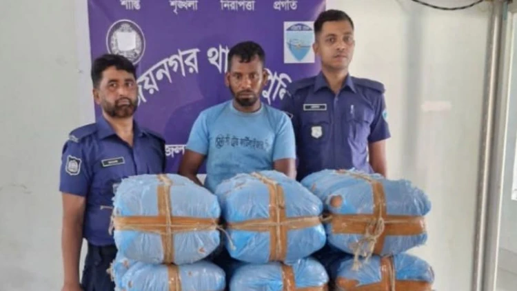 বিজয়নগরে গাঁজাসহ মাদক ব্যবসায়ী গ্রেফতার