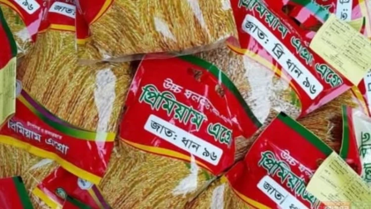 সময়মতো মিলছে না সরকারি বোরো বীজ